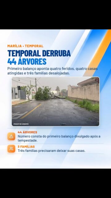 Confira os destaques do Giro da Noite desta segunda-feira, 5 de outubro.
Marília ainda contabiliza os estragos do temporal, com dezenas de árvores derrubadas, feridos e famílias desalojadas. A previsão indica mais chuva para esta terça-feira antes da volta do calor.
Também tem atualização da Operação Cata-Treco na zona oeste, prazo para justificativa eleitoral, campanha com mamografias gratuitas no dia 12 e as ações do Outubro Rosa em Marília.
▶️ Assista ao Giro de Notícias da TVC Marília e fique por dentro do que acontece na cidade.
