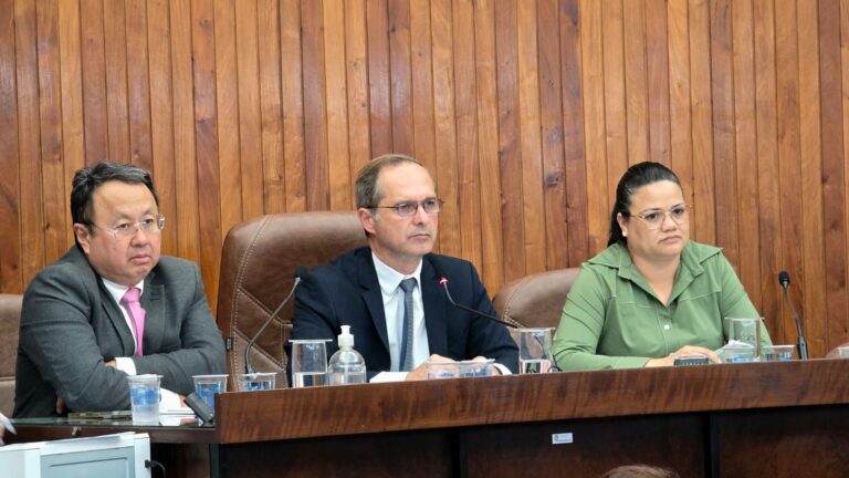 Vereadores no plenário da Câmara Municipal de Marília